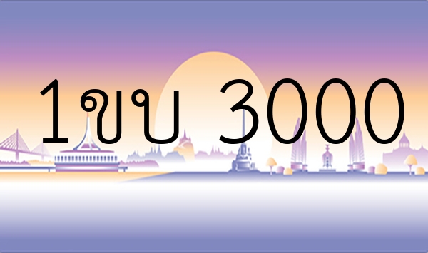 1ขบ 3000